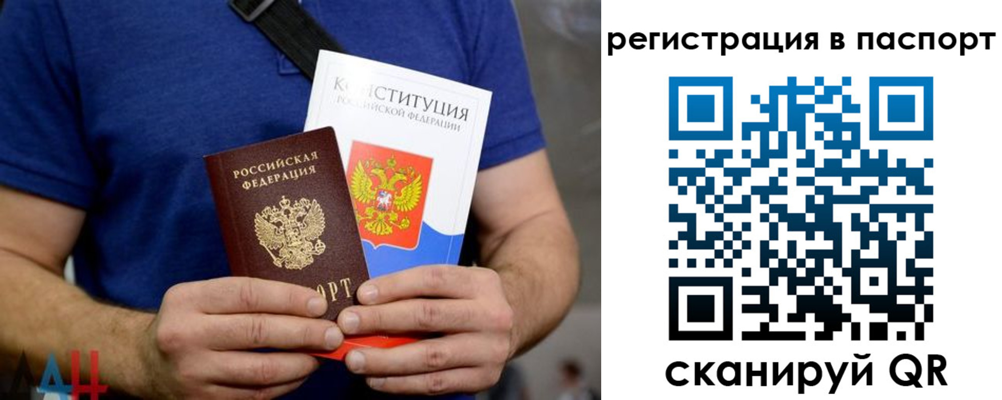 прописка гарантия в Жирновске