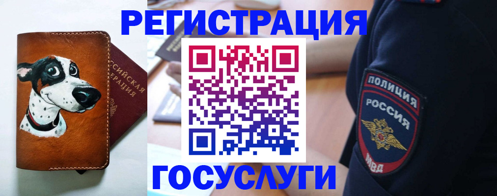 временная регистрация в квартире в Жирновске